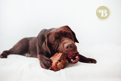 Bimordiscos Raíz De Brezo Para Perros. M_1