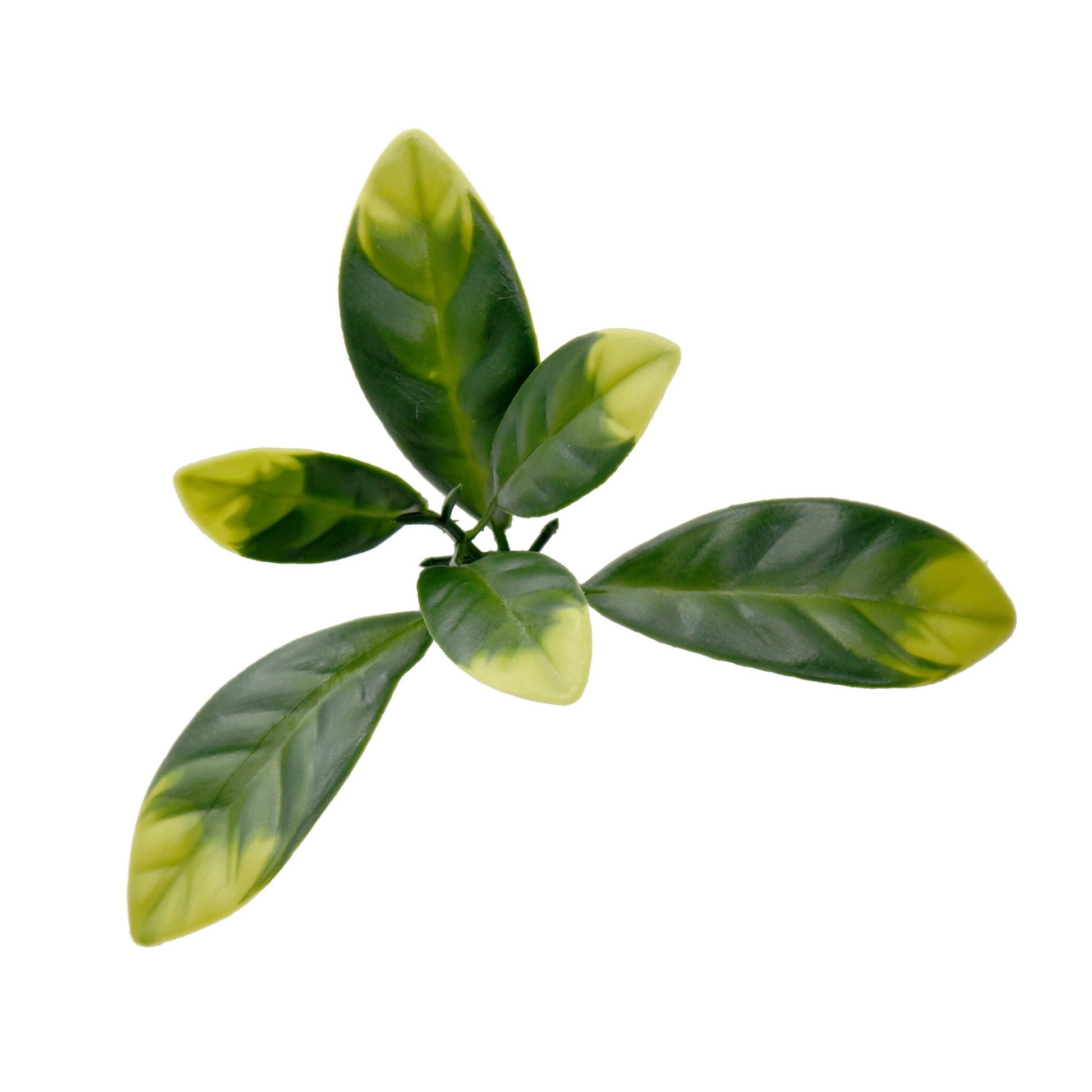 Bonerva | Jardín Vertical Laurel | Pack 4 Piezas 50x50cm_1