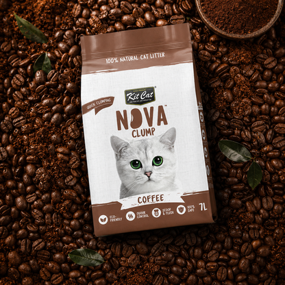 Kit de areia para gatos Eco SoyaClump - Areia para gatos Coffee 7 L