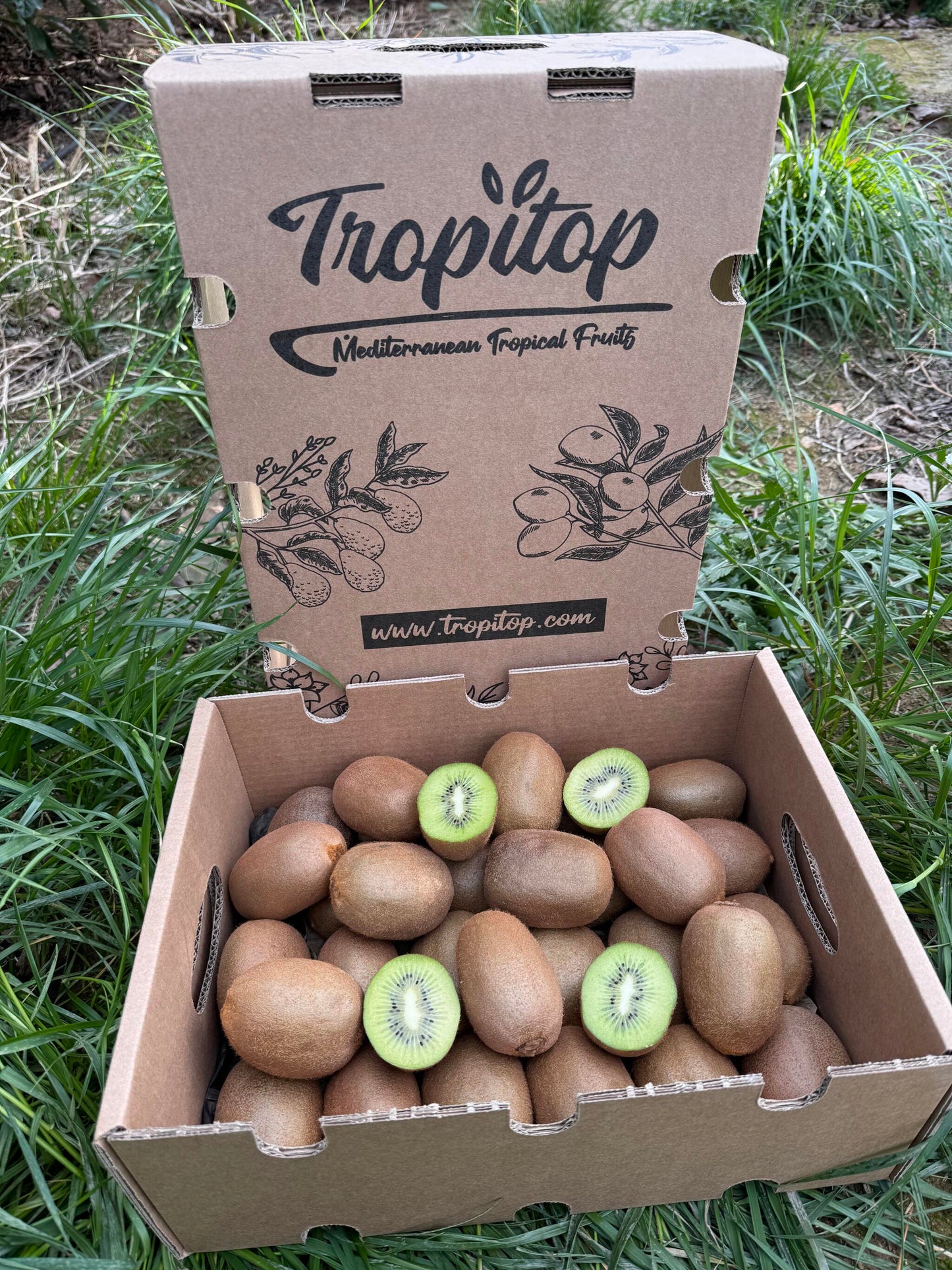Caja De Kiwis Verde De Temporada Tropitop Caja De 2kg_1