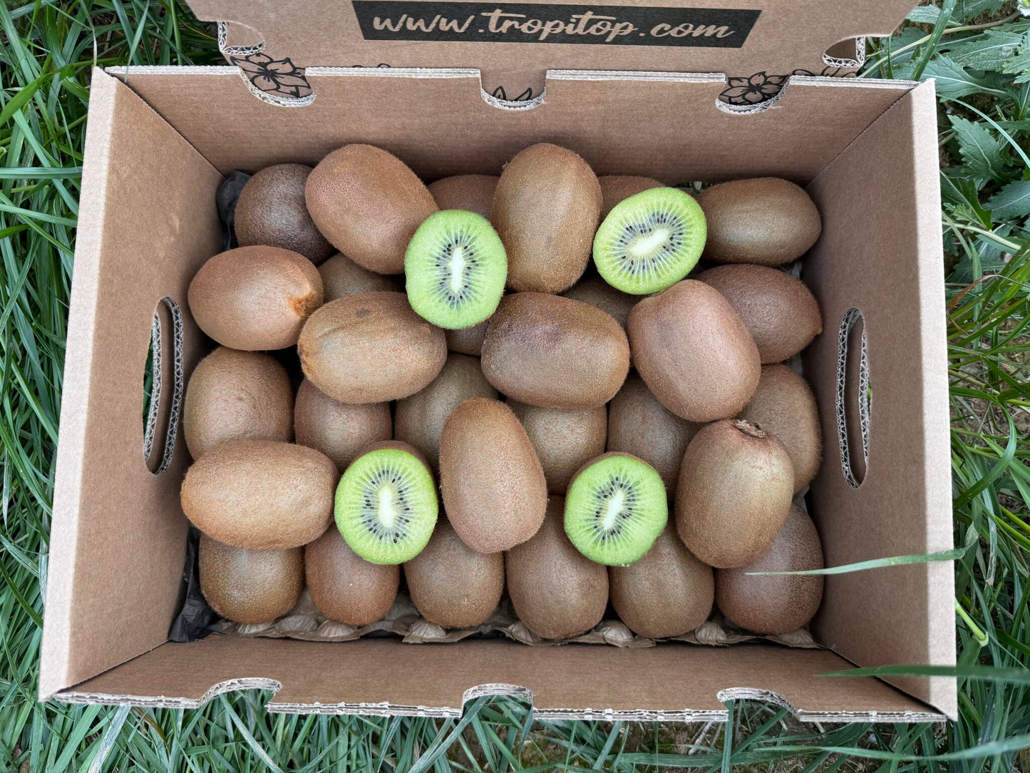 Caja De Kiwis Verde De Temporada Tropitop Caja De 3kg_2