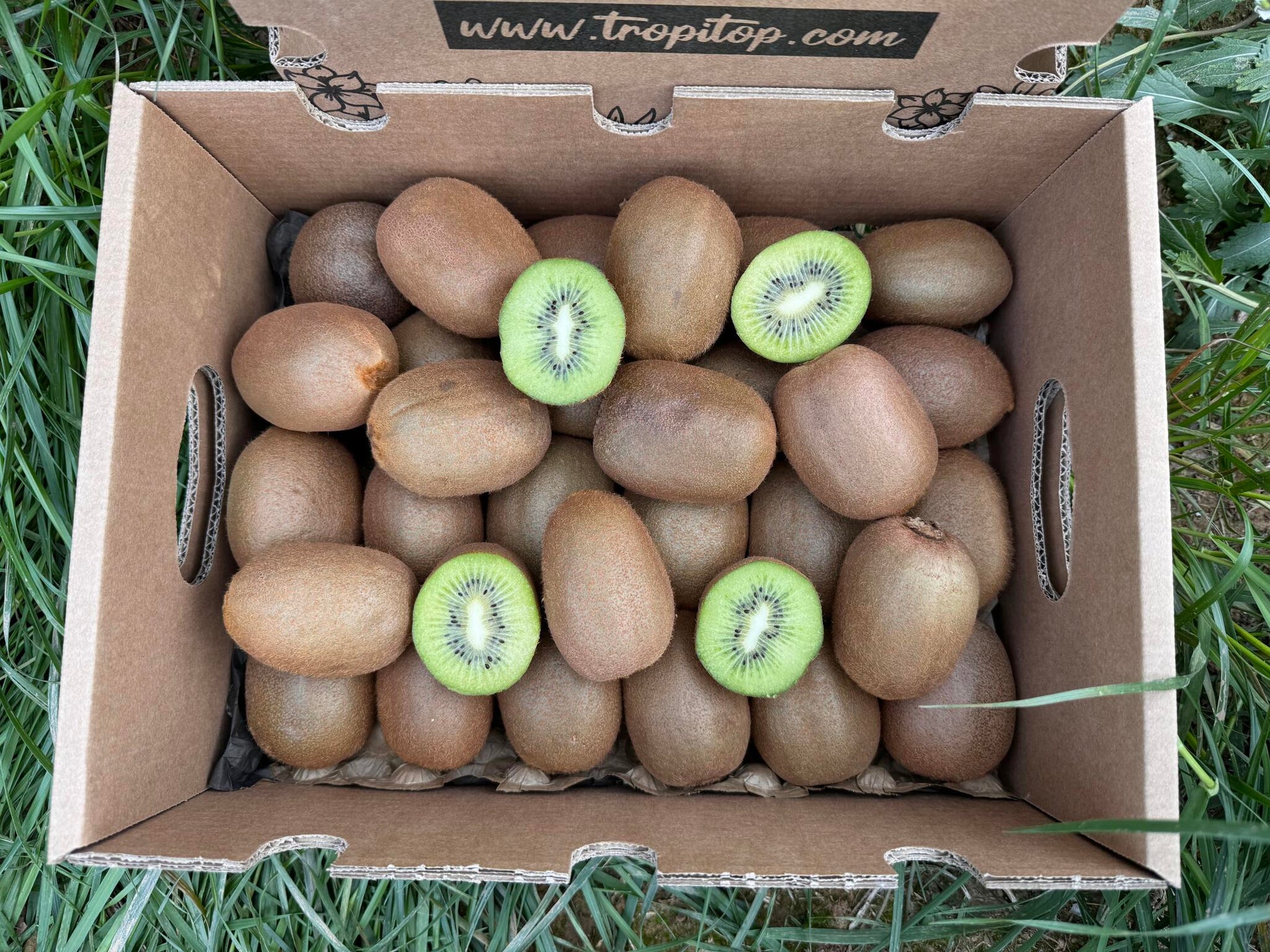 Caja De Kiwis Verde De Temporada Tropitop Caja De 3kg_2