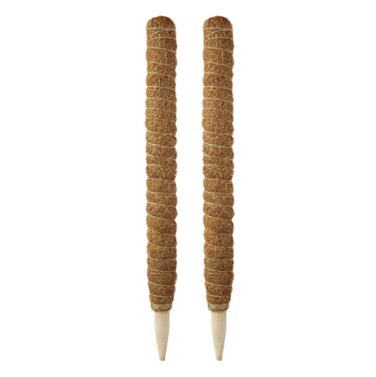 Pack 2x Tutor de coco natural Ø 52 mm Biotop 60 cm