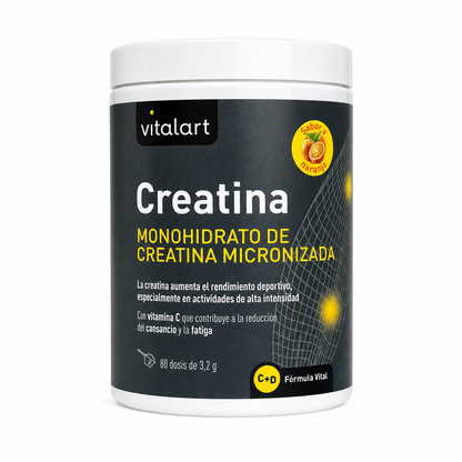Creatina Creavitalis 200 Mesh Vitalart 256 g