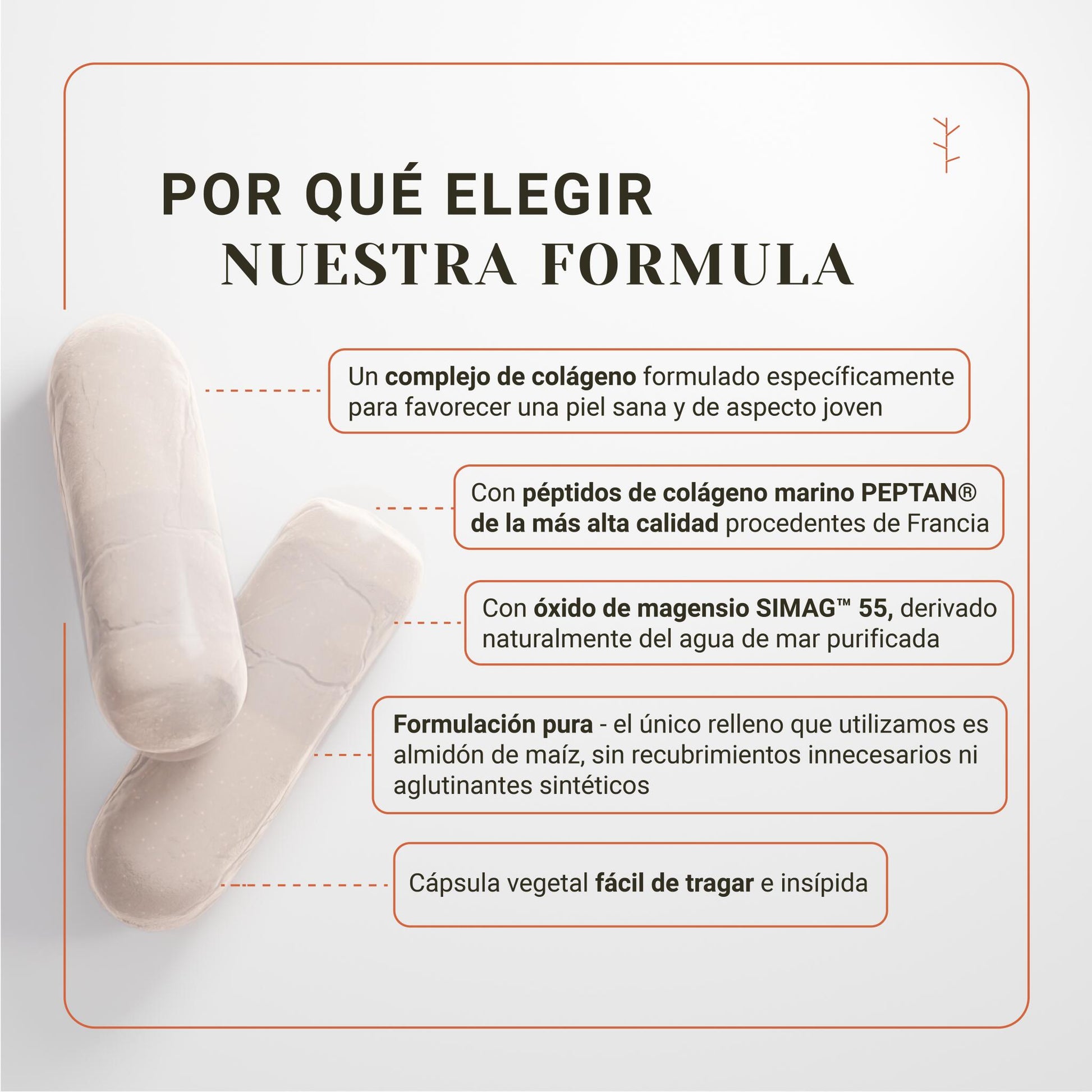 Colágeno Marino Con Ácido Hialurónico Y Magnesio – Hidratación, Antiarrugas Y Piel Firme (120 Cápsulas)_2