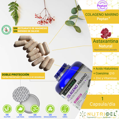 Colágeno Marino Peptan® Con Acido Hialurónico, Q10 Y Astaxantina_4