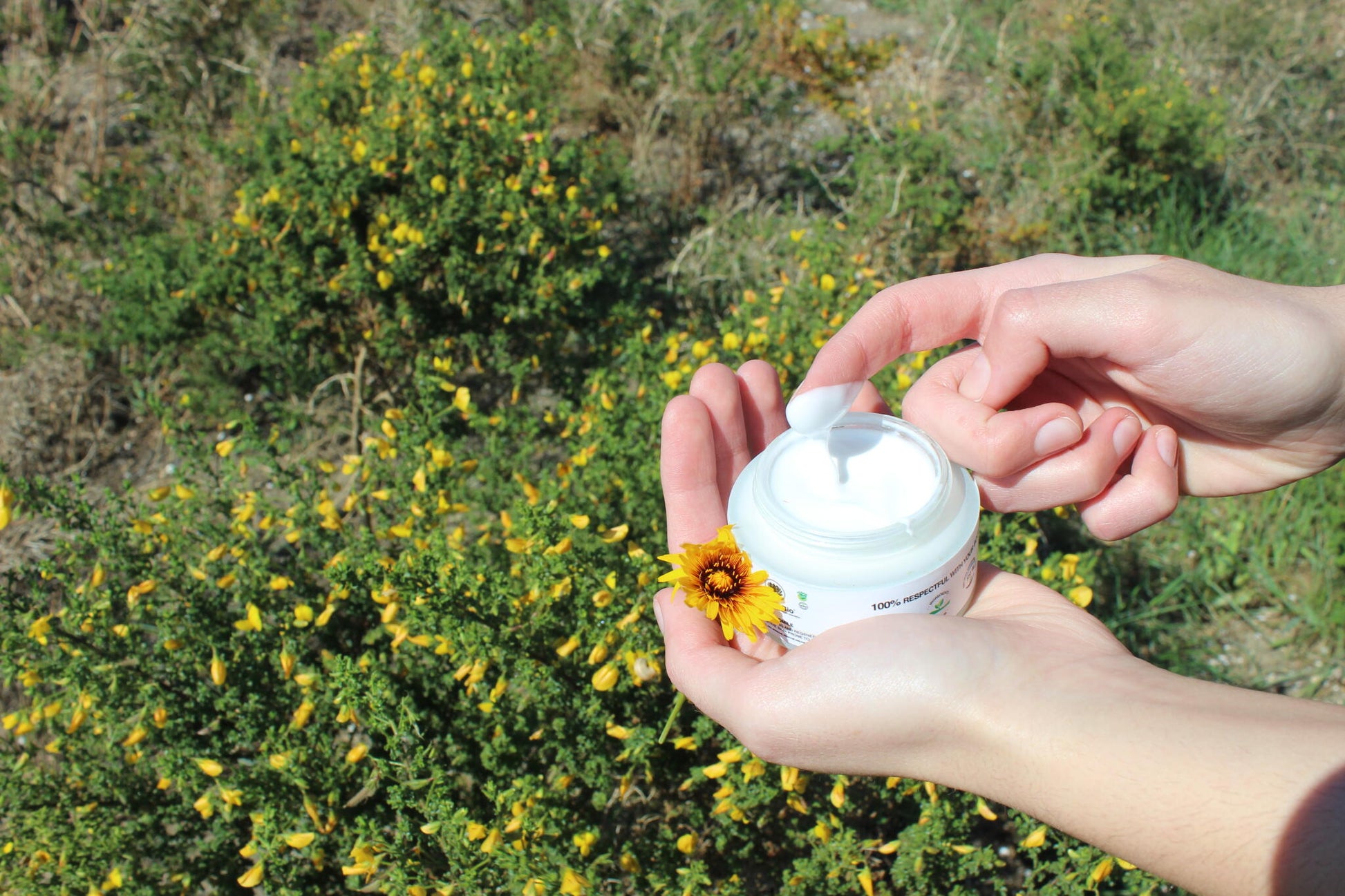 Crema Camomila VerbelBio– Hidratante, Regeneradora, Antiarrugas y Calmante. Piel Sensible, Rosácea y Dermatitis._2