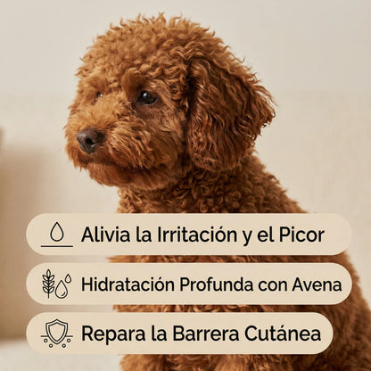 Champú para perros con avena y pistacho Masco Beauty 250 ml