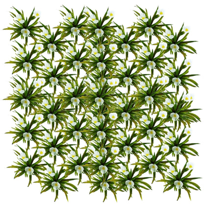 Estratiote - Stratiotes Aloides - 60 Plantas_0