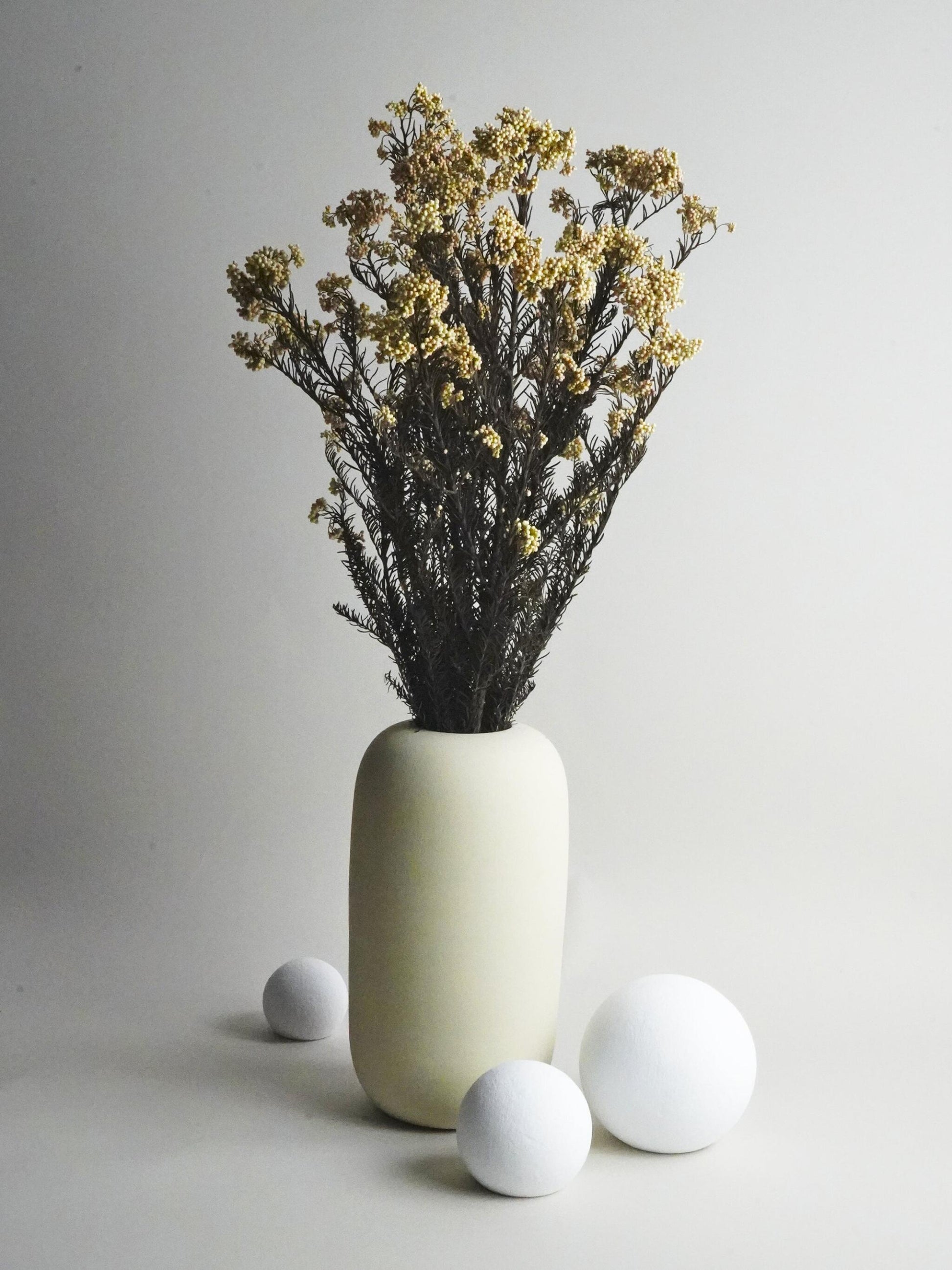 Flor De Arroz Preservado_0
