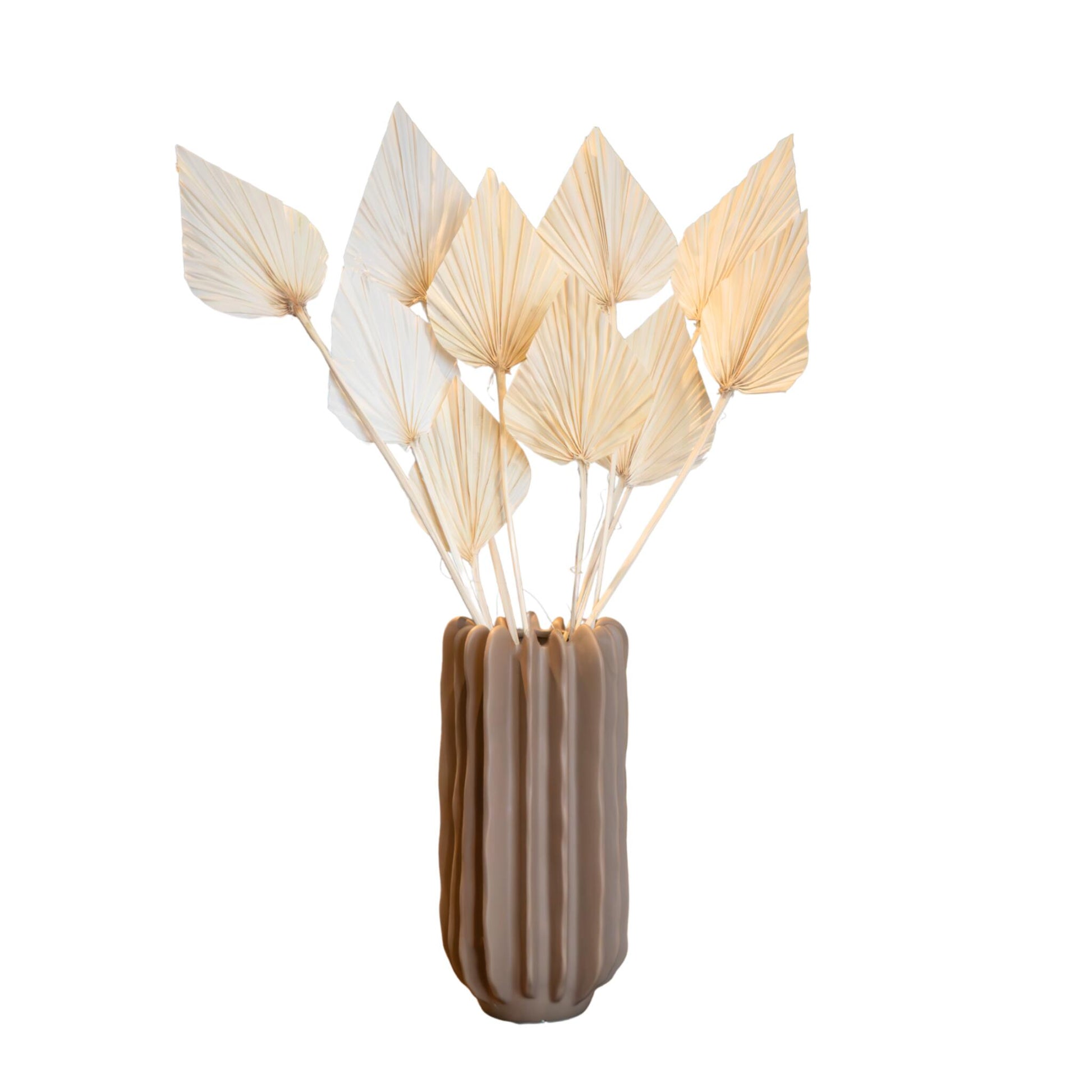 Flores Secas - 10 Pzs - Ramo 'palmspear Bleached White'_0