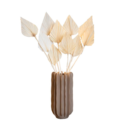 Flores Secas - 10 Pzs - Ramo 'palmspear Bleached White'_0