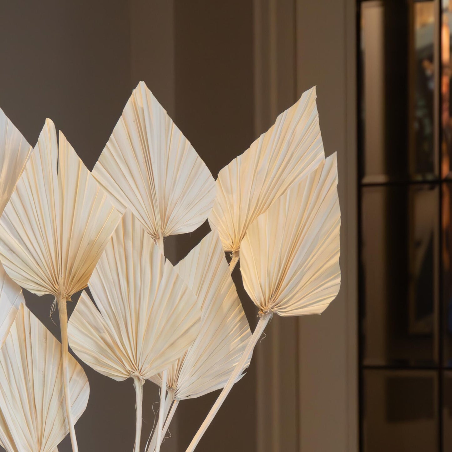 Flores Secas - 10 Pzs - Ramo 'palmspear Bleached White'_3