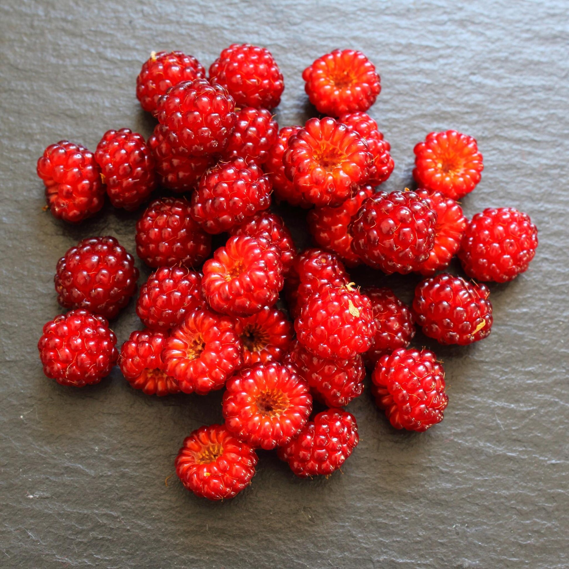 Frambuesa Japonesa - Set De 2 - Rubus Phoenicolasius - Altura 50-60cm - Ø15cm_4