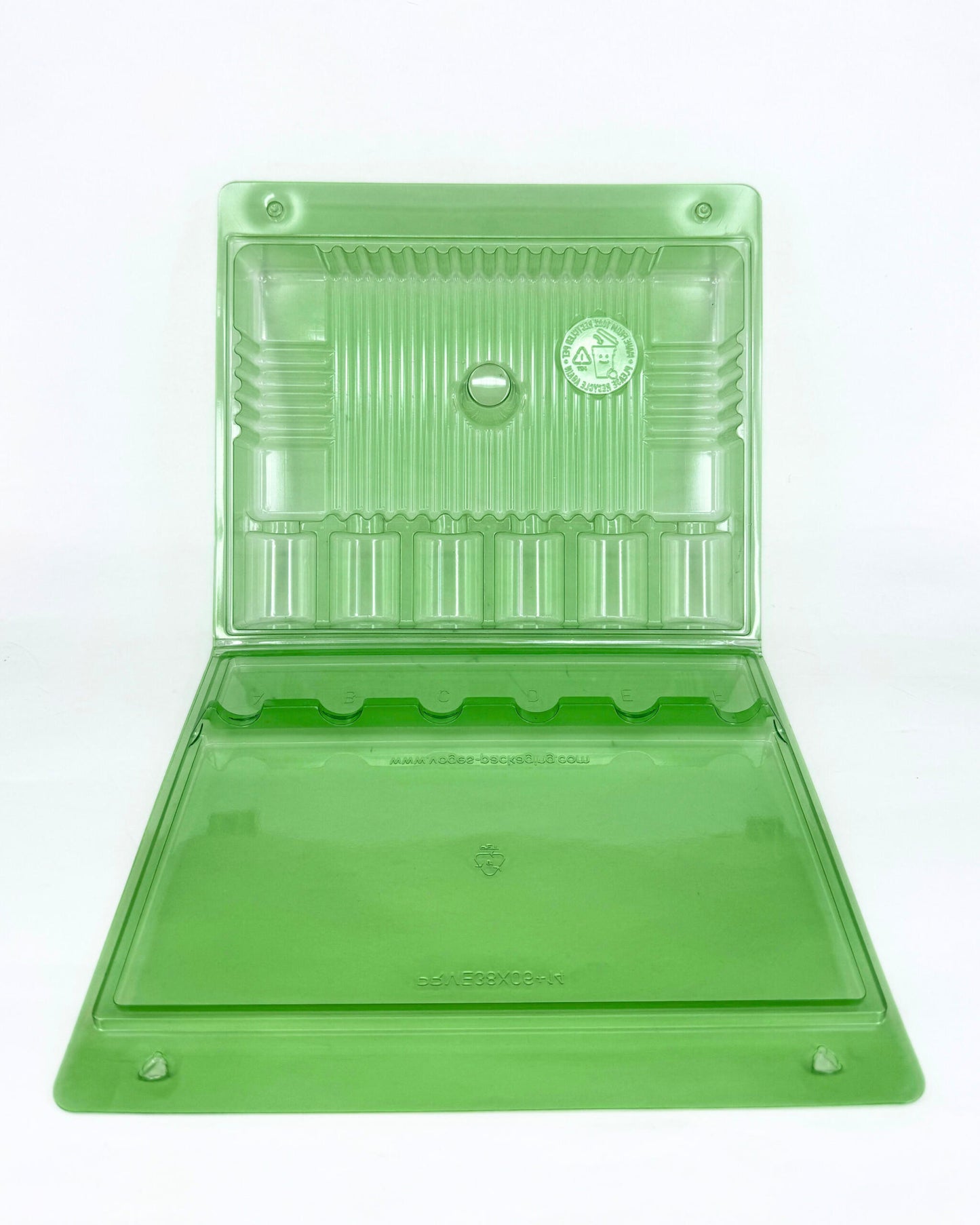 Funda Para 6 Esquejes – Transporte Seguro Y Visible | Verde Transparente, 28,5 Cm_2