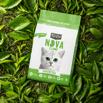 Pack de 6 Kit Cat Arena Eco SoyaClump - Areia para gatos de chá verde, 7 L