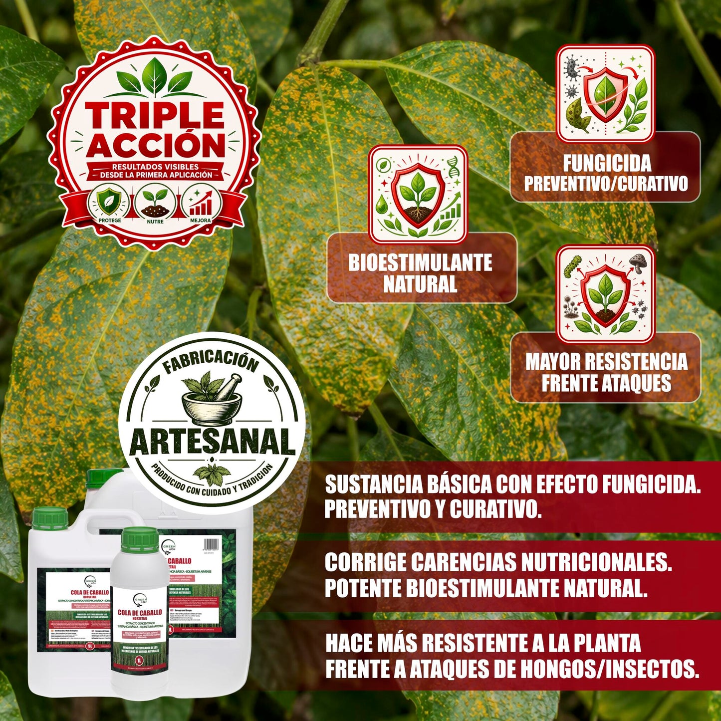 GREEN GOF Cola De Caballo, 1L. Fungicida, Bioestimulante, Orgánico y 100% Natural. Preventivo y Curativo._2