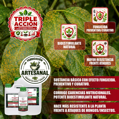 GREEN GOF Cola De Caballo, 1L. Fungicida, Bioestimulante, Orgánico y 100% Natural. Preventivo y Curativo._2
