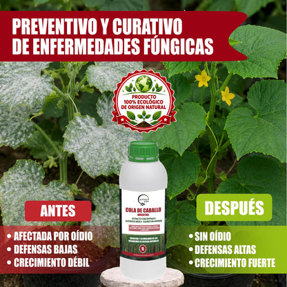 GREEN GOF Cola De Caballo, 1L. Fungicida, Bioestimulante, Orgánico y 100% Natural. Preventivo y Curativo._5