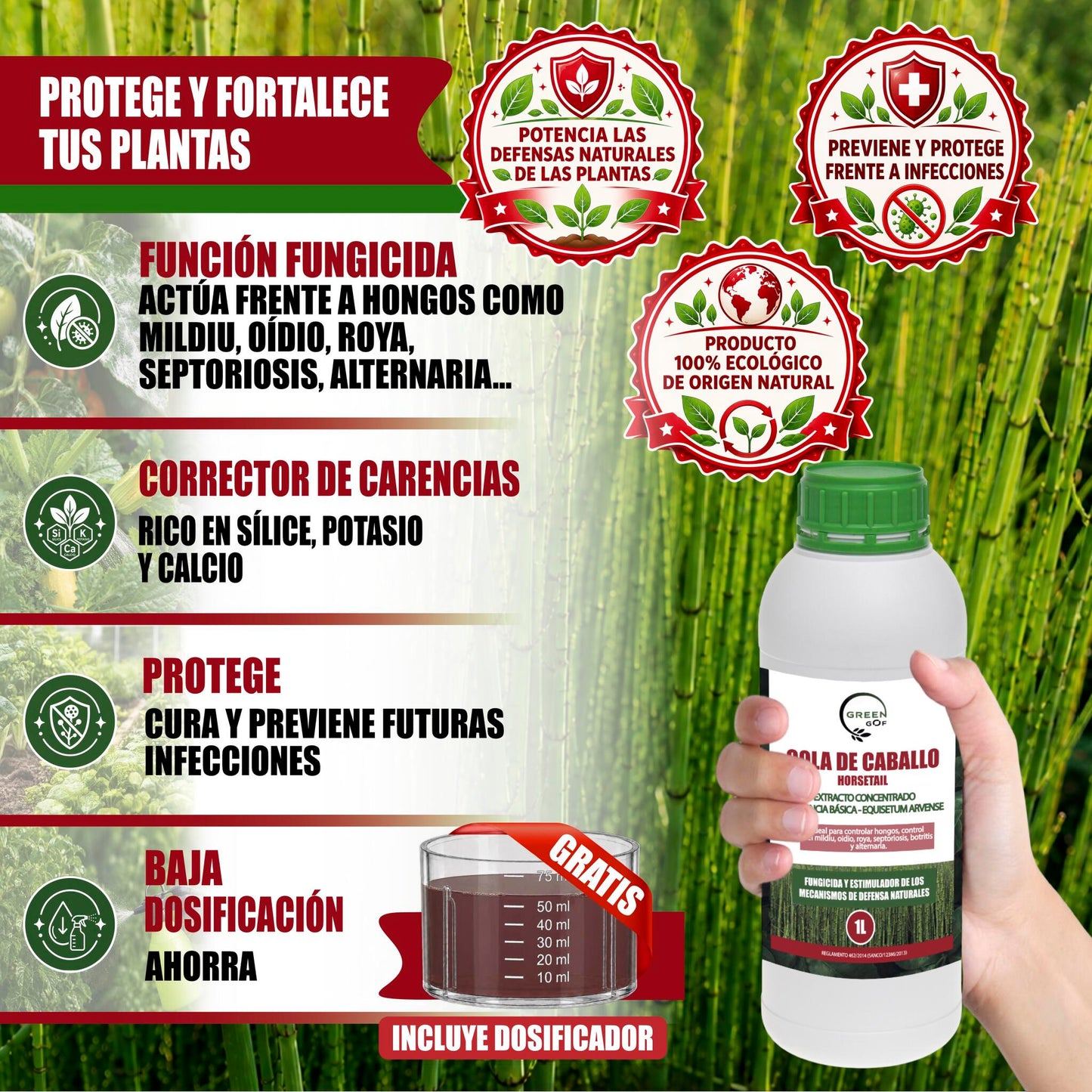 GREEN GOF Cola De Caballo, 1L. Fungicida, Bioestimulante, Orgánico y 100% Natural. Preventivo y Curativo._1