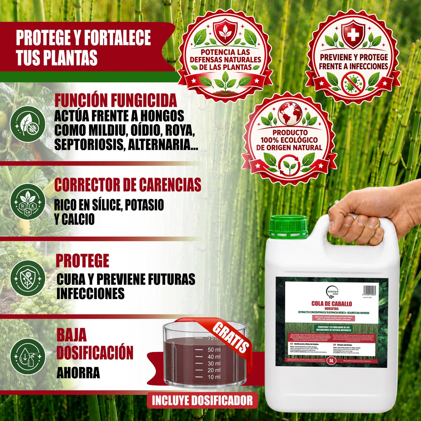 GREEN GOF Cola De Caballo,5L. Fungicida, Bioestimulante, Orgánico y 100% Natural. Preventivo y Curativo._1