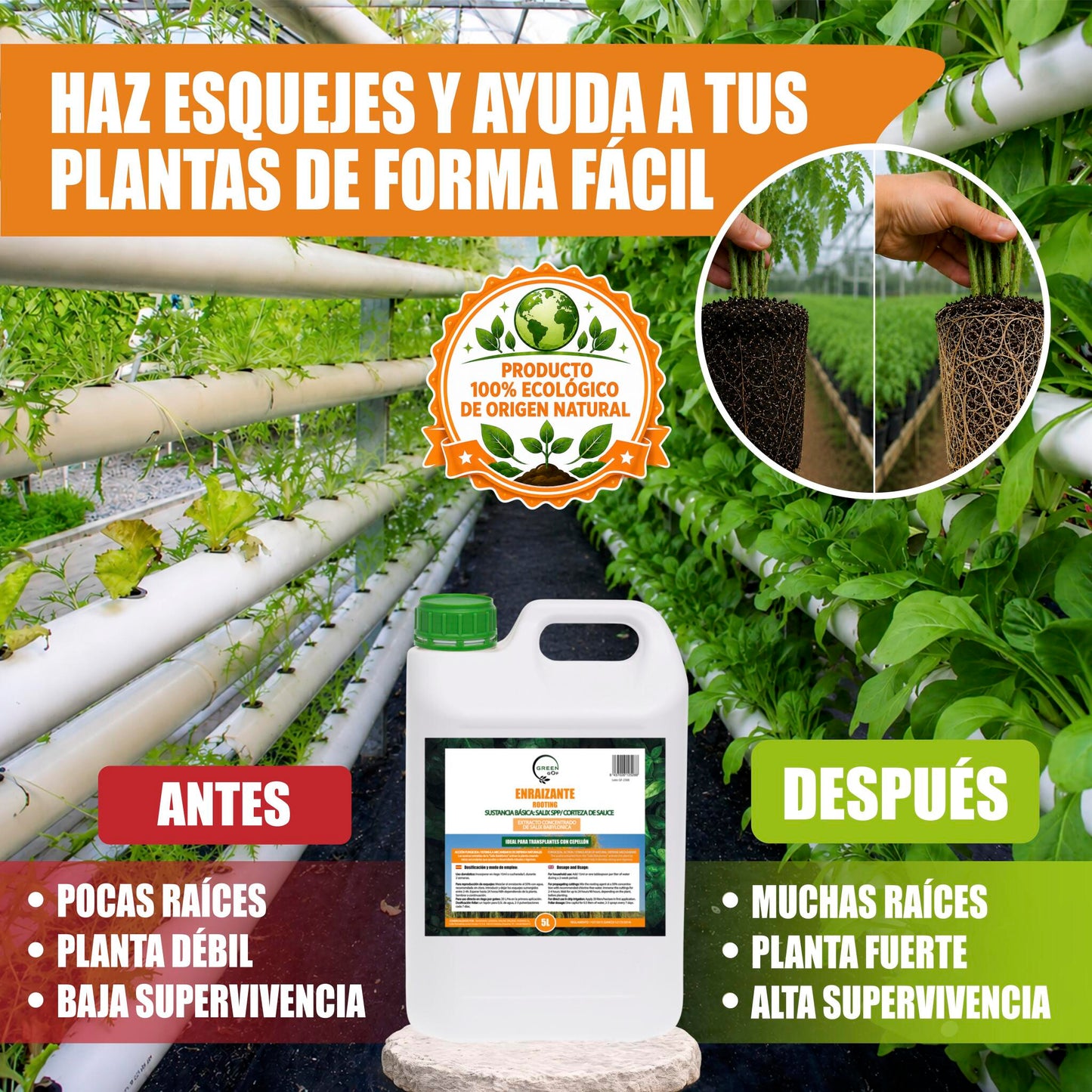 GREEN GOF Enraizante Líquido, 5L. Orgánico con Hormonas Naturales. Estimula y Aumenta el Crecimiento de Raíces._5