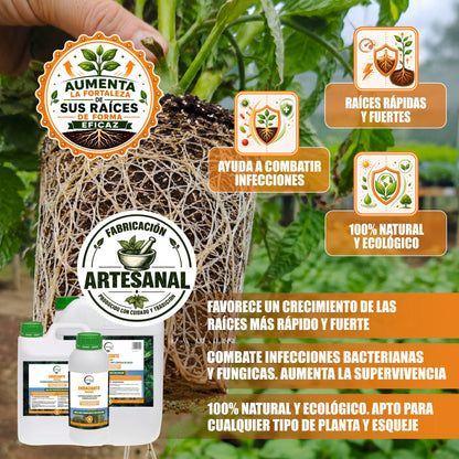 GREEN GOF Enraizante Líquido, 5L. Orgánico con Hormonas Naturales. Estimula y Aumenta el Crecimiento de Raíces._2
