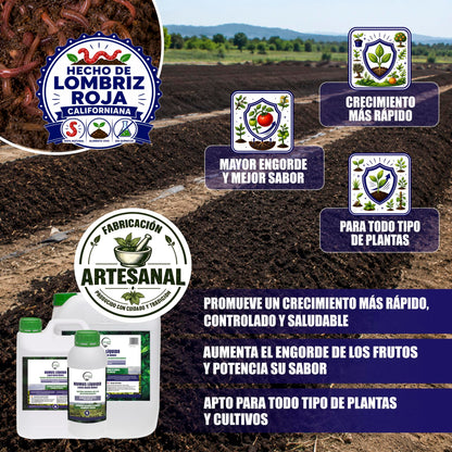 GREEN GOF Humus Líquido De Lombriz Premium 5l. Enriquecido Con Leonardita Y Melaza. Fertilizante Rico En Microorganismos_2