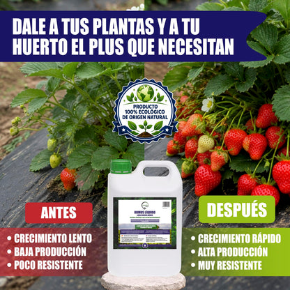 GREEN GOF Humus Líquido De Lombriz Premium 5l. Enriquecido Con Leonardita Y Melaza. Fertilizante Rico En Microorganismos_5
