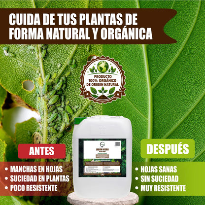 GREEN GOF Jabón Potásico Premium, 1L. Concentrado - Hongos Y Plagas - Actúa Por Contacto._5