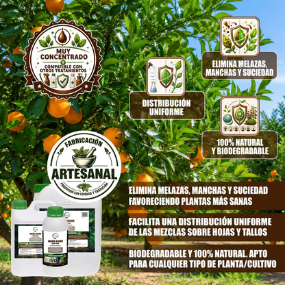 GREEN GOF Jabón Potásico Premium, 5L. Concentrado - Hongos Y Plagas - Actúa Por Contacto._2
