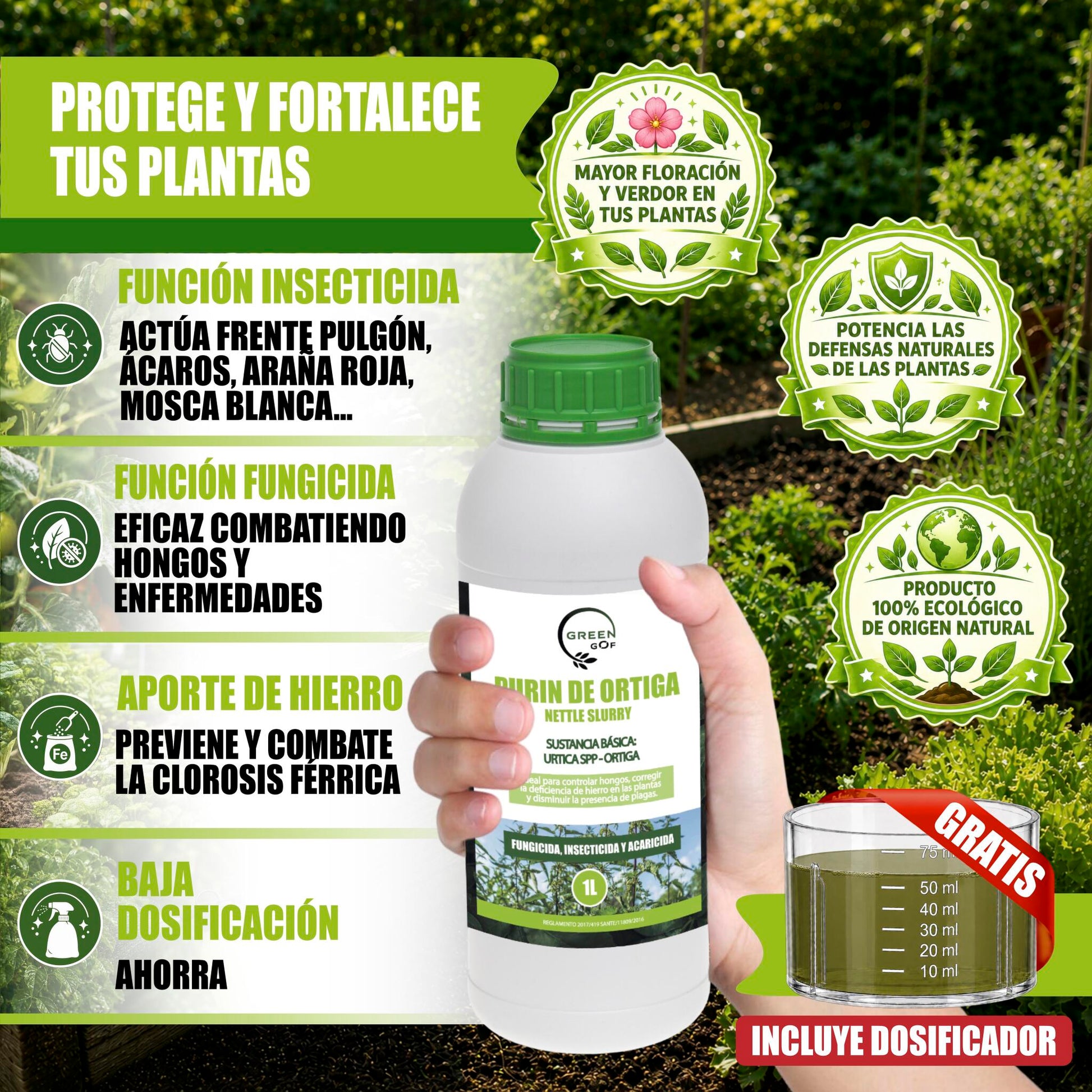GREEN GOF Purin De Ortiga, 1L. Insecticida, Fungicida, Acaricida. Orgánico y 100% Natural. Curativo y Preventivo._1