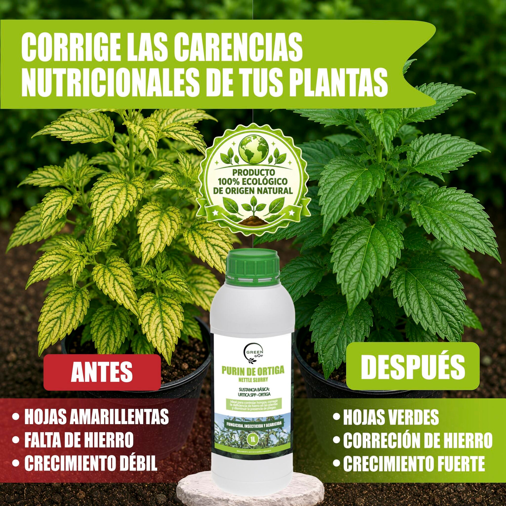 GREEN GOF Purin De Ortiga, 1L. Insecticida, Fungicida, Acaricida. Orgánico y 100% Natural. Curativo y Preventivo._5