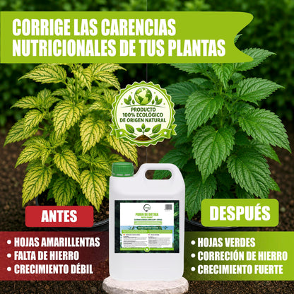 GREEN GOF Purin De Ortiga, 5L. Insecticida, Fungicida, Acaricida. Orgánico y 100% Natural. Curativo y Preventivo._5