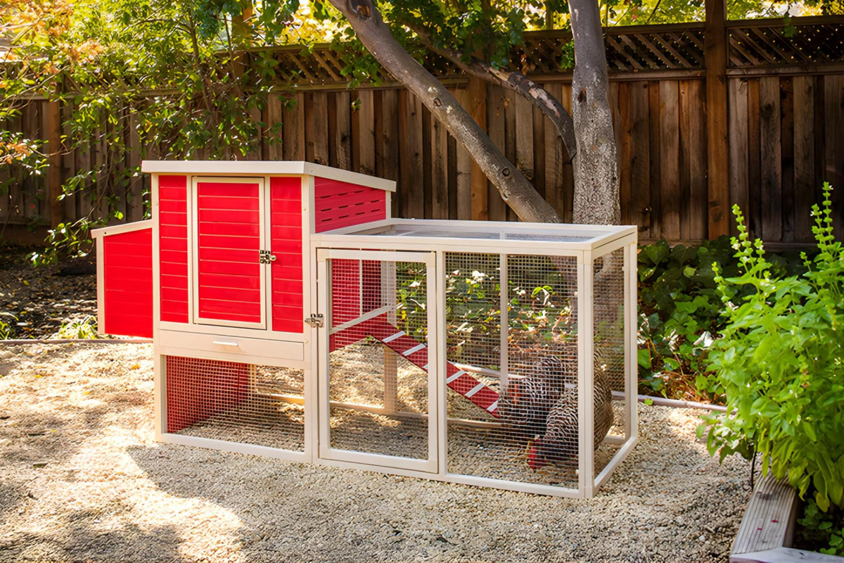 Gallinero Sonora Con Parque Para Exterior Capacidad 4-5 Aves - Ecoflex Material Sostenible Y Duradero. Fácil Montaje_5
