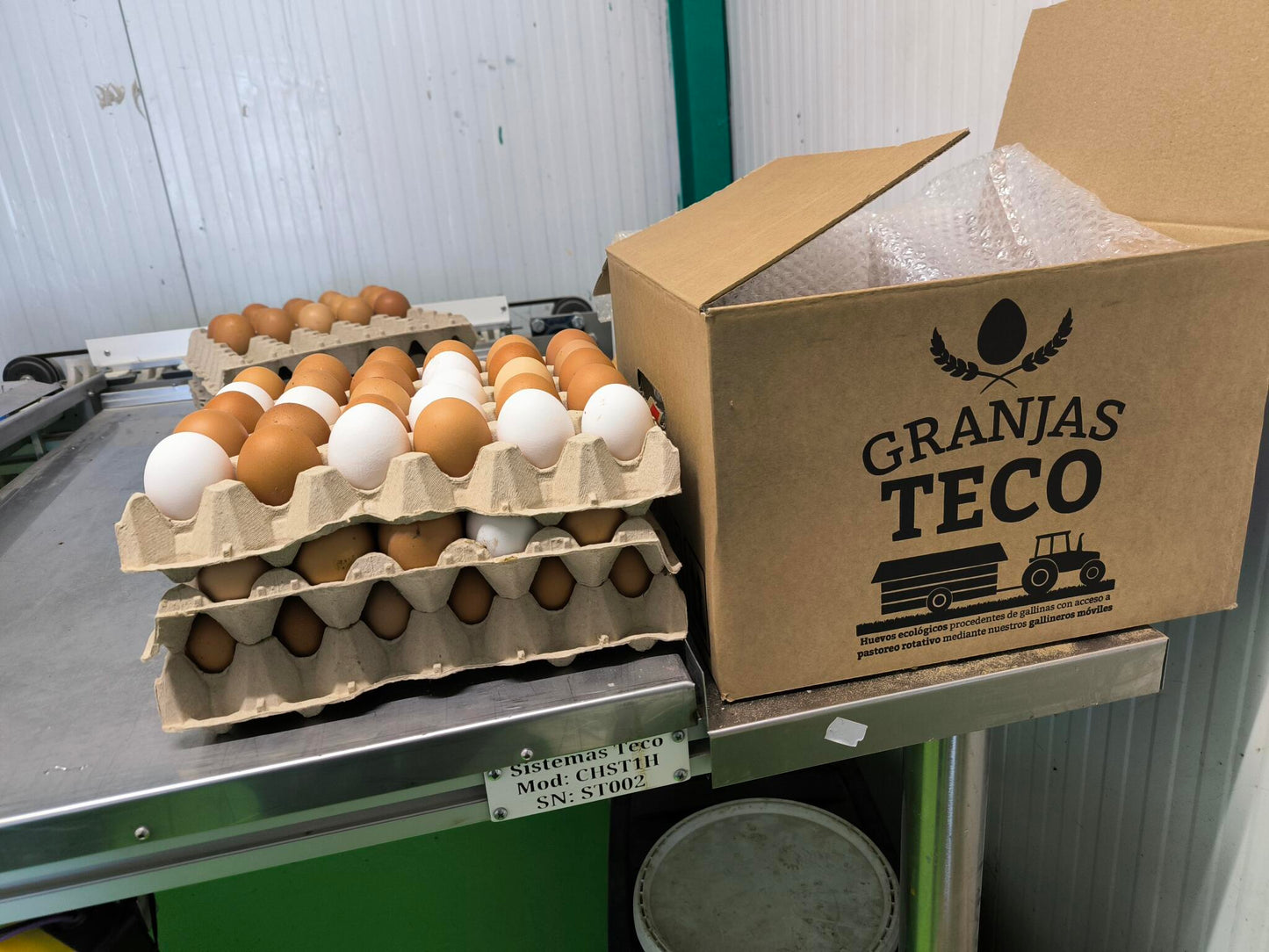 Huevos Ecológicos Extrafrescos De Pastoreo Regenerativo 90 unidades_1