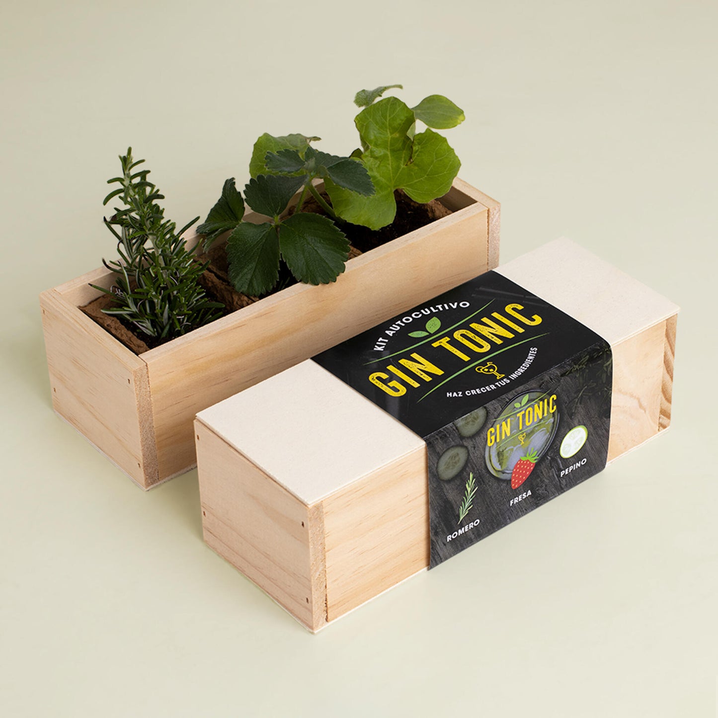 Kit Autocultivo Gin Tonic | Cultiva Romero, Fresa Y Pepino En Casa | Regalo Original Para Amantes De Los Cócteles_1