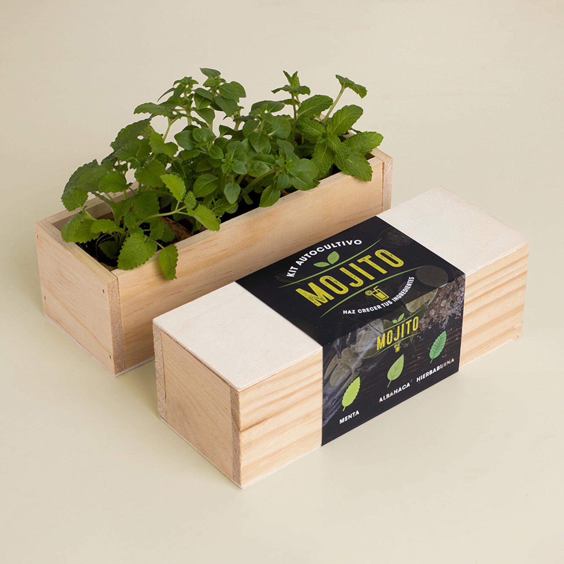 Kit Autocultivo Mojito | Cultiva Menta, Albahaca Y Hierbabuena En Casa | Regalo Original Para Cócteles_1