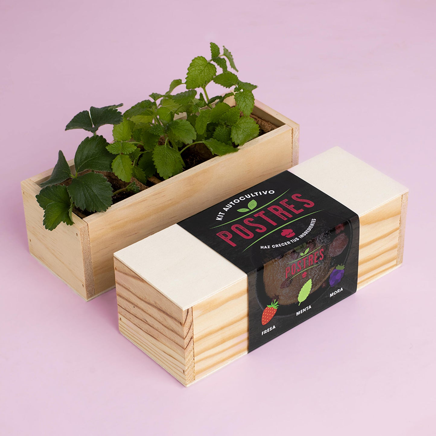 Kit Autocultivo Postres | Cultiva Fresa, Menta Y Mora En Casa | Ideal Para Repostería Y Smoothies | Regalo Dulce_1