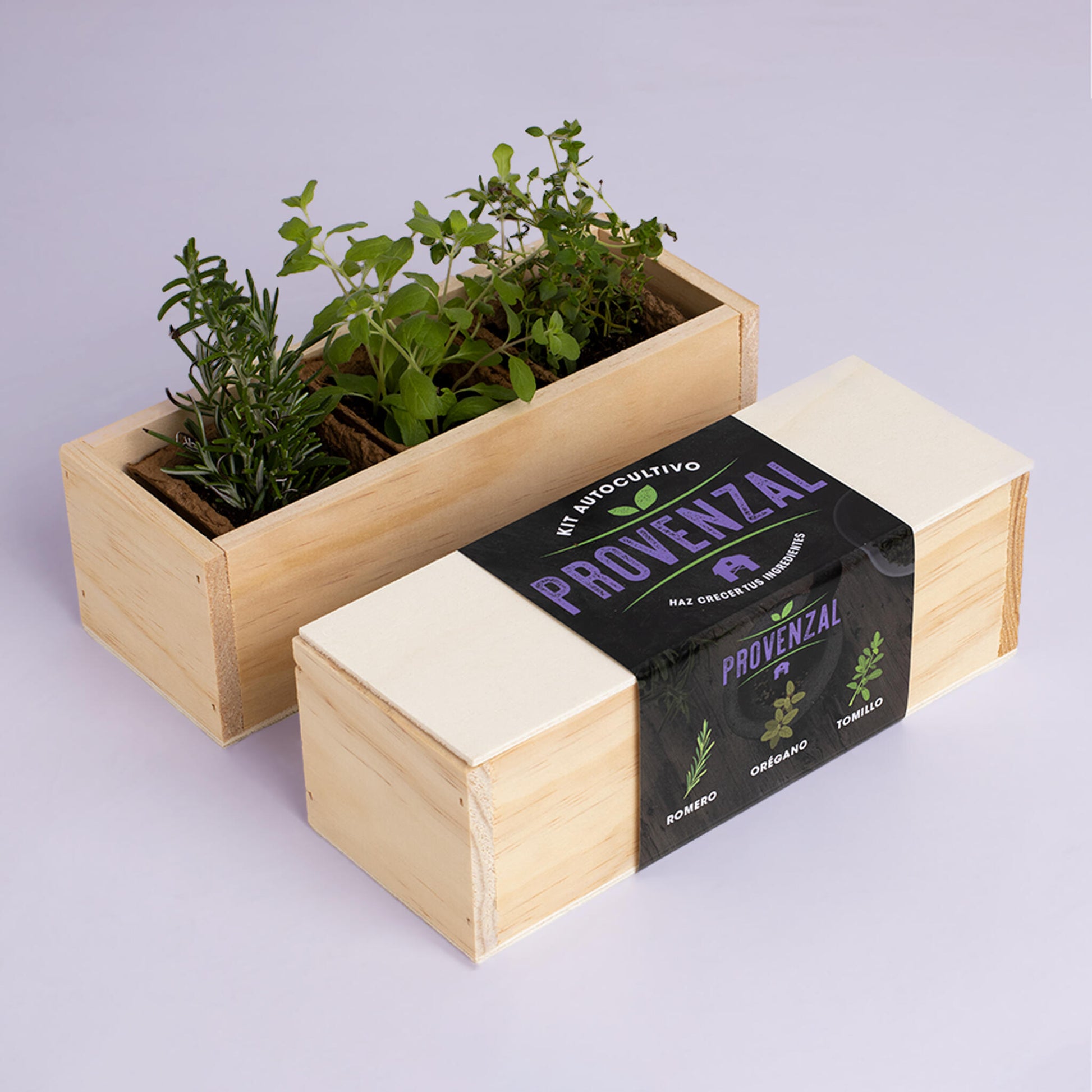 Kit Autocultivo Provenzal | Cultiva Romero, Orégano Y Tomillo En Casa | Aromáticas Mediterráneas_1