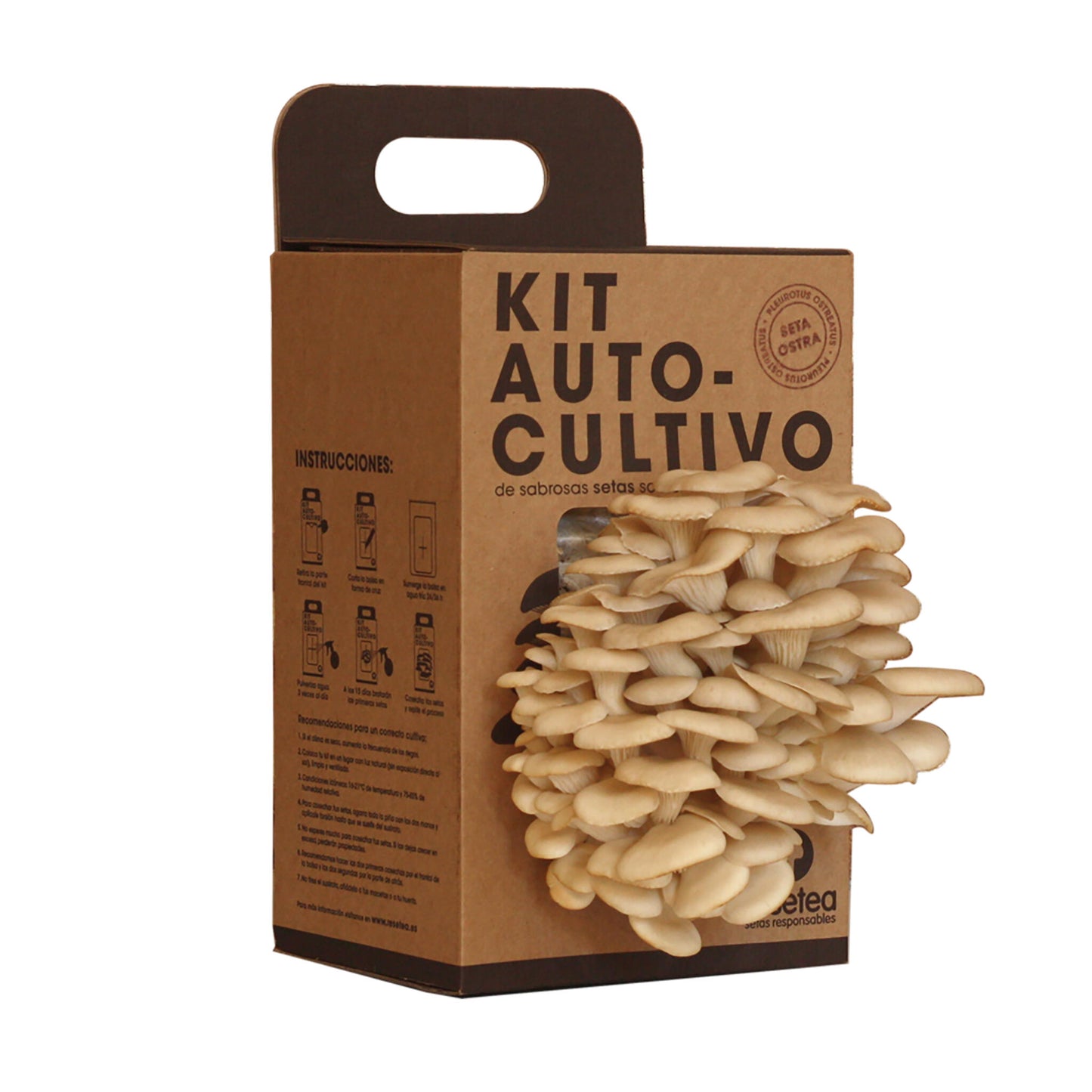 Kit Cultivo De Setas Ostra | Ingrediente Gourmet | Cultivo Fácil | Regalo Original | Resetea_0