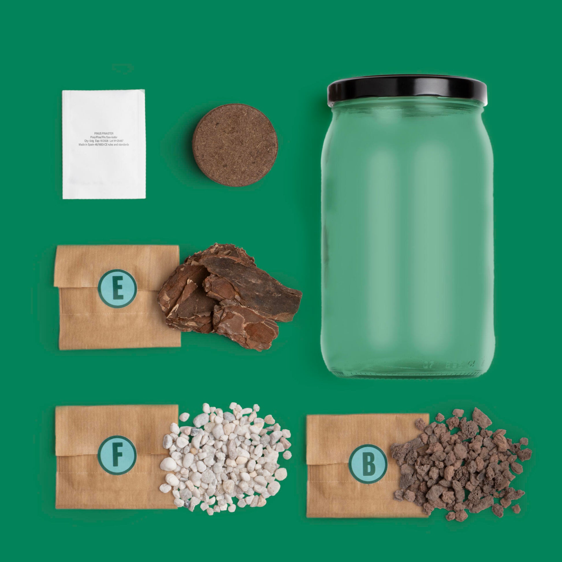 Kit Terrarium Pino – Crea Tu Ecosistema En Miniatura En Casa, Regalo Original - Resetea_1