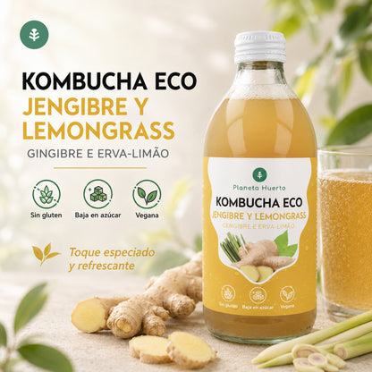 Kombucha ECO Gengibre e erva-príncipe Planeta Huerto 330 ml