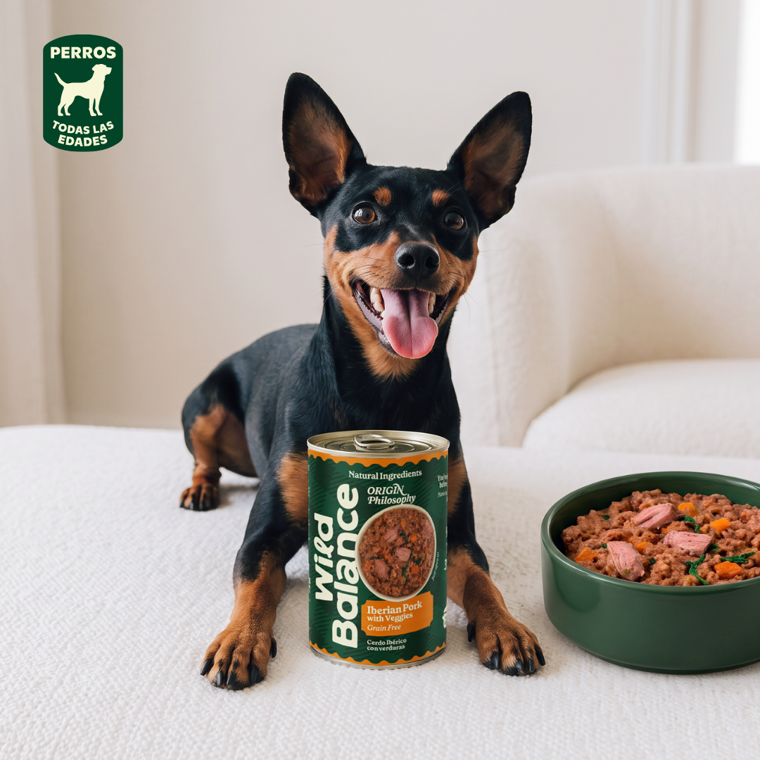 Wild Balance Pork and Vegetable BARF Lata para Cães 400g