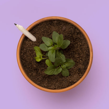 Lápiz Plantable de Flores – Papel Reciclado, Escribe, Dibuja y Plántalo, Regalo Original - Resetea_1