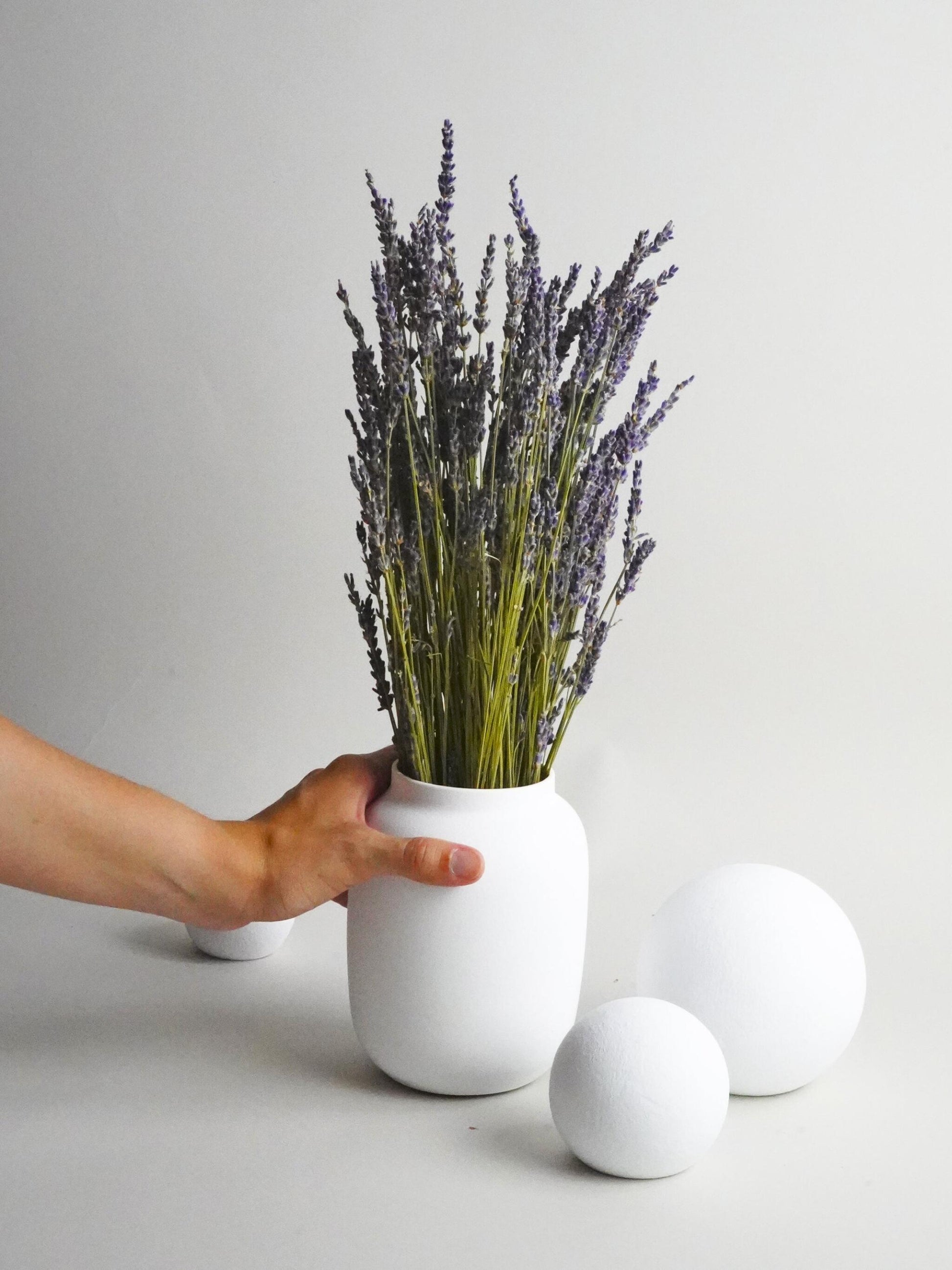 Lavanda Seca_0