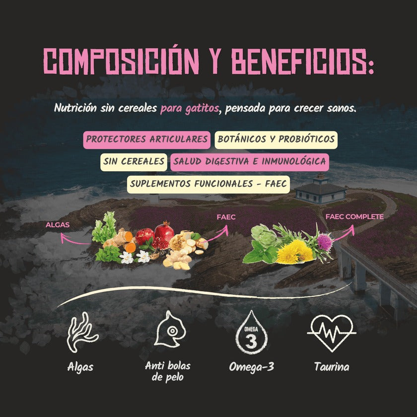 Pienso para Gatitos Aves y Pescado Kitten Grain Free Lenda 2 kg