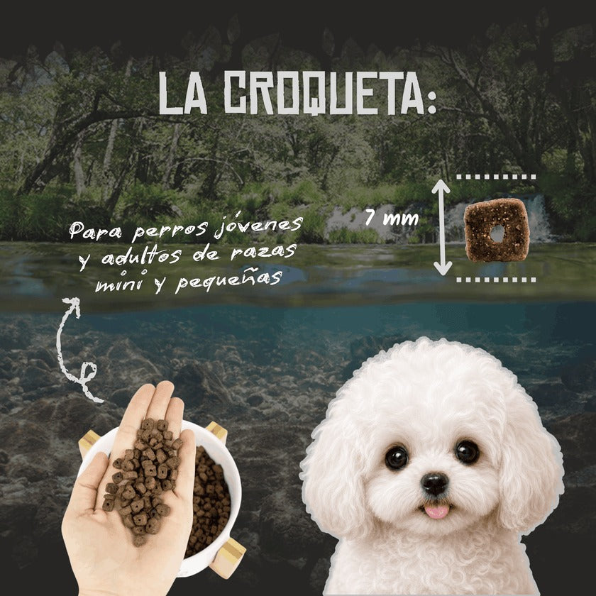 Pienso Hipoalergénico para Perros Pequeños Grain Free Lenda 2 kg