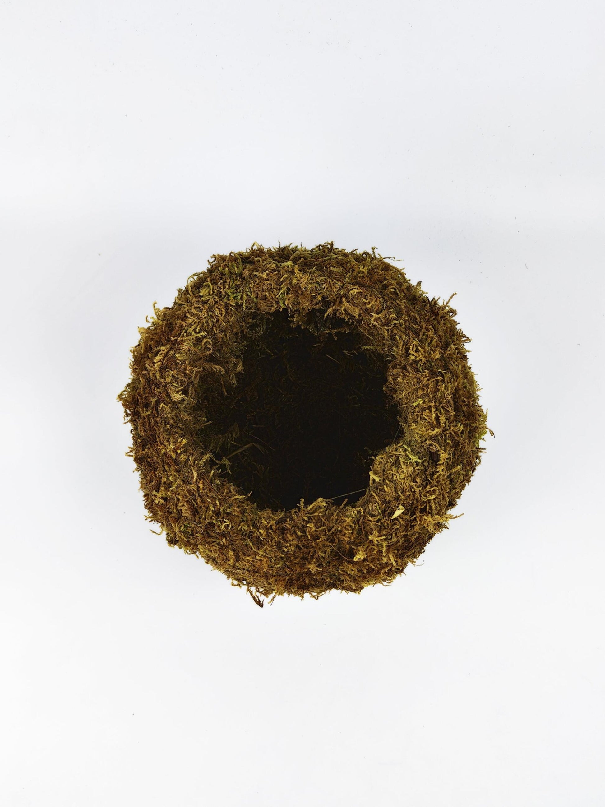 Maceta Kokedama L_2
