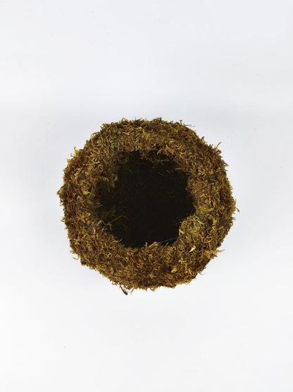 Maceta Kokedama L_2